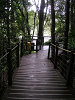s_A_PICT0173_thumb.png